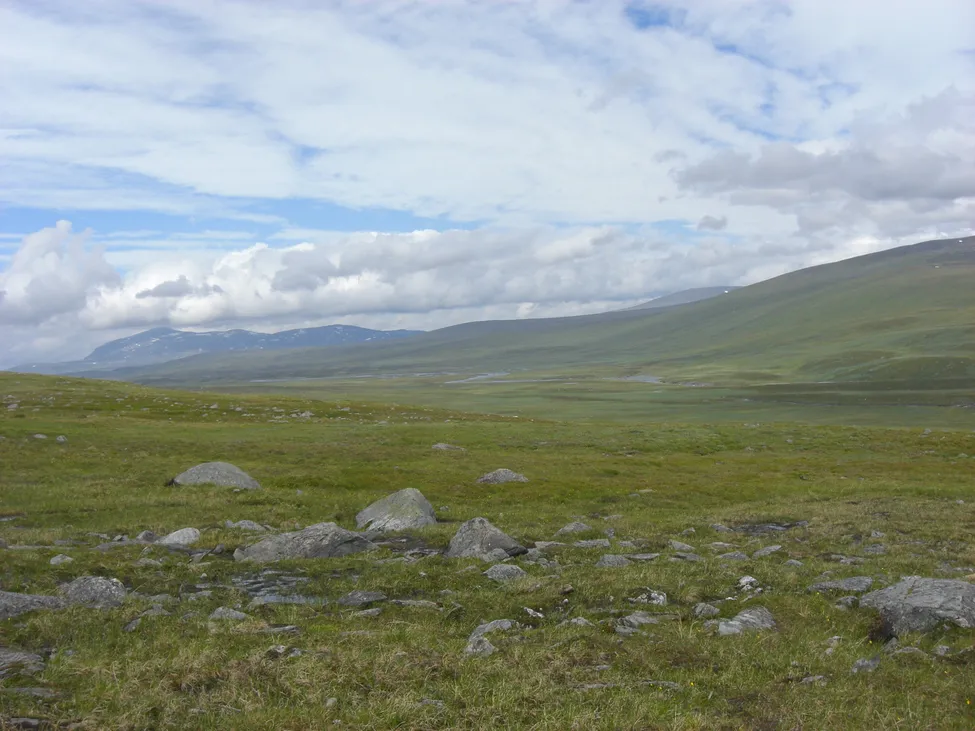 Klicka för att förstora