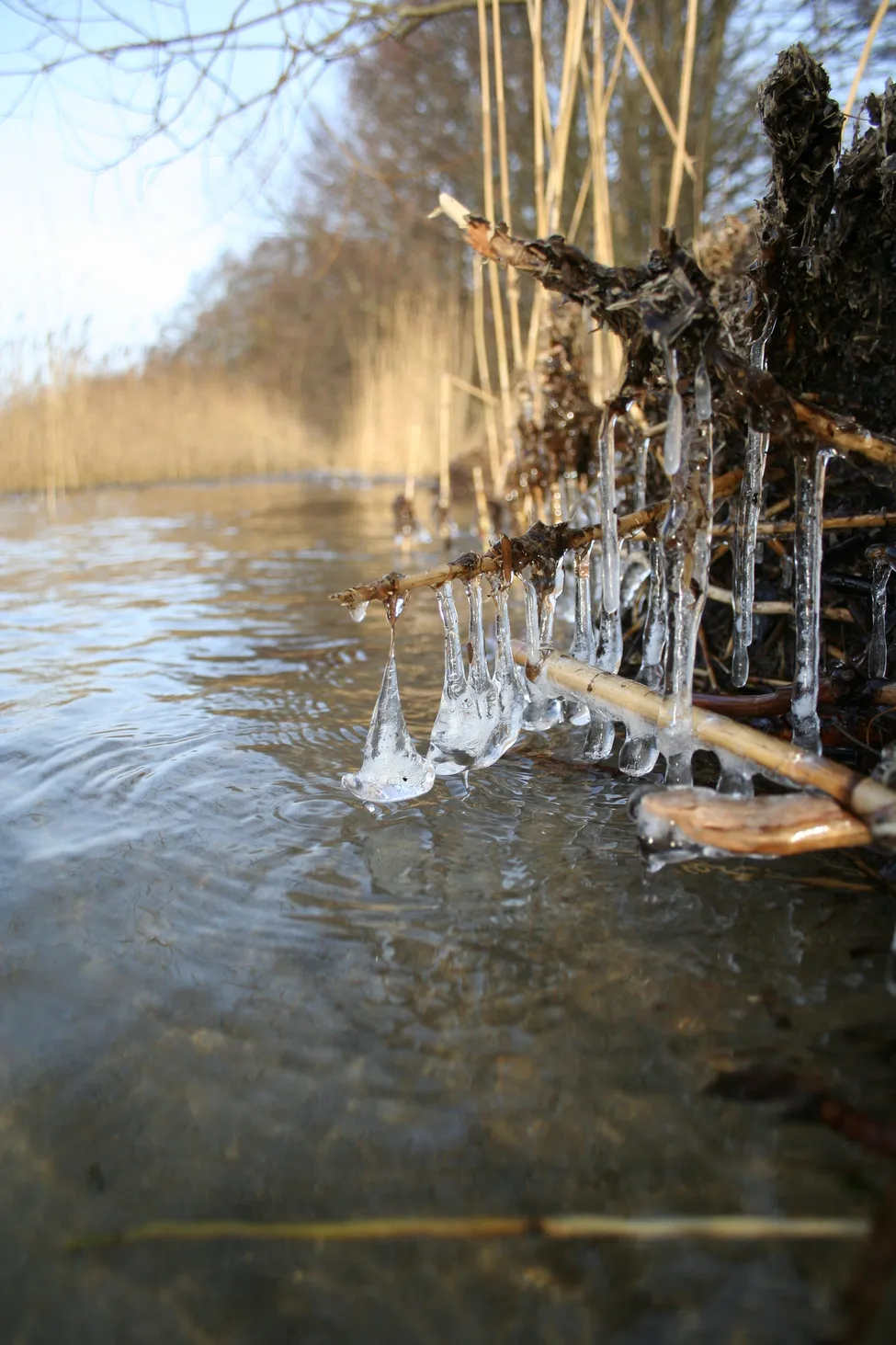 Klicka för att förstora