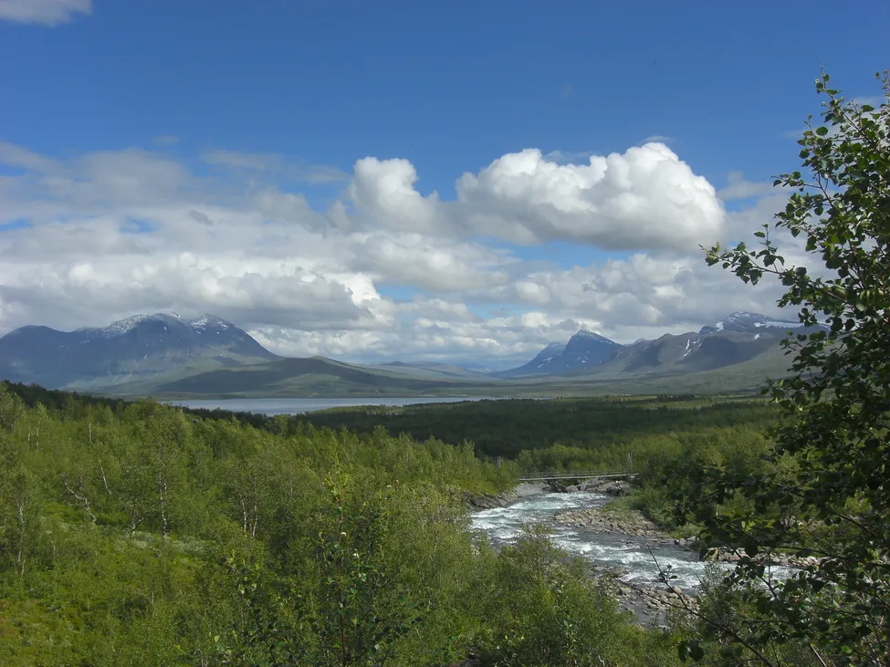 Klicka för att förstora