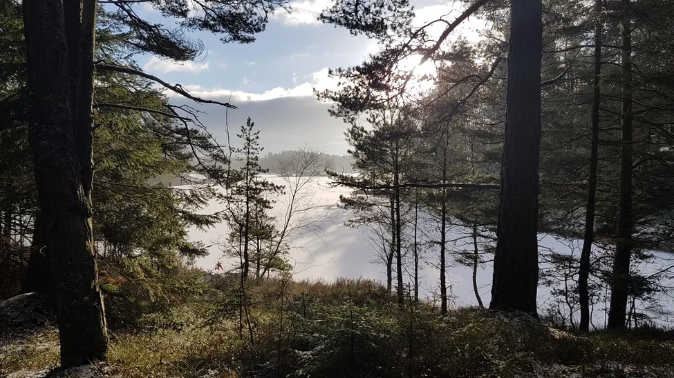 Klicka för att förstora