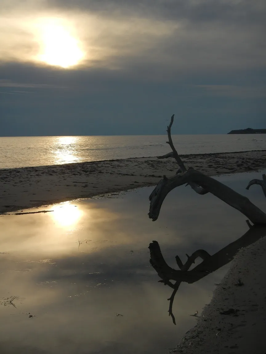 Klicka för att förstora