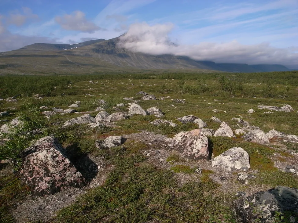 Klicka för att förstora
