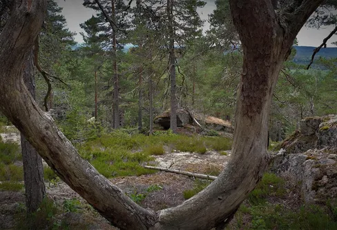 Bergslagsleden Etapp 6: Hammarby-Pershyttan