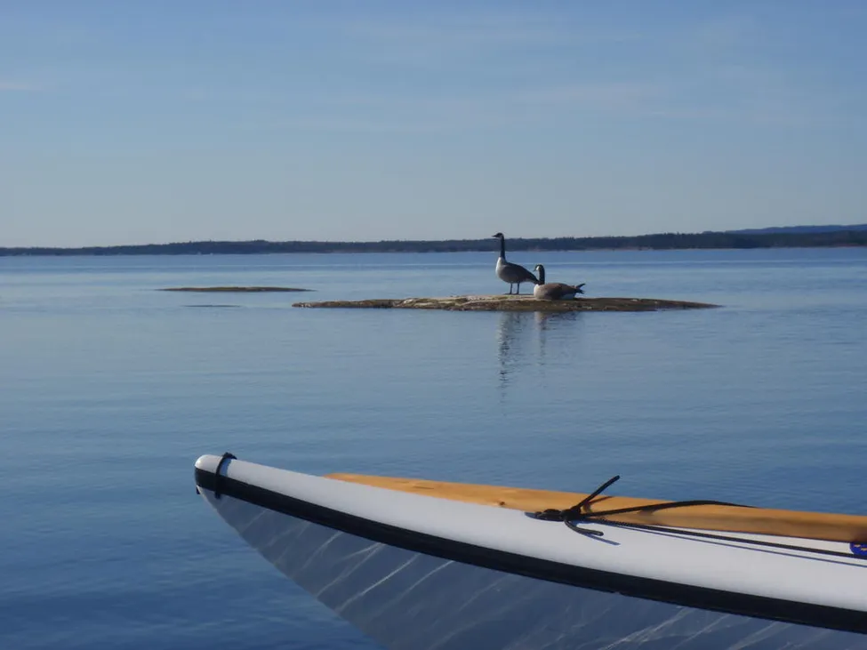 Klicka för att förstora