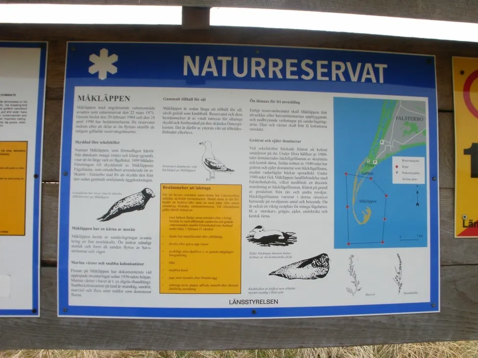 Klicka för att förstora