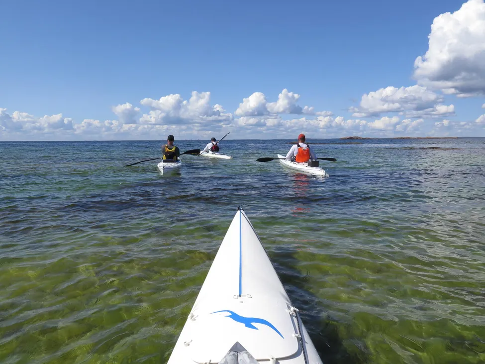Klicka för att förstora