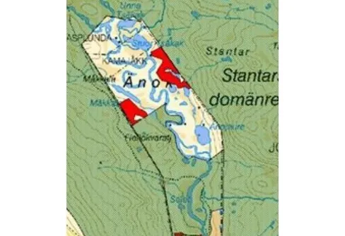 Änok och skogen – konflikten mellan produktion och miljö