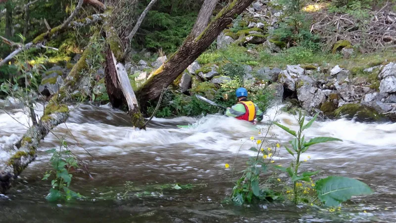 Klicka för att förstora