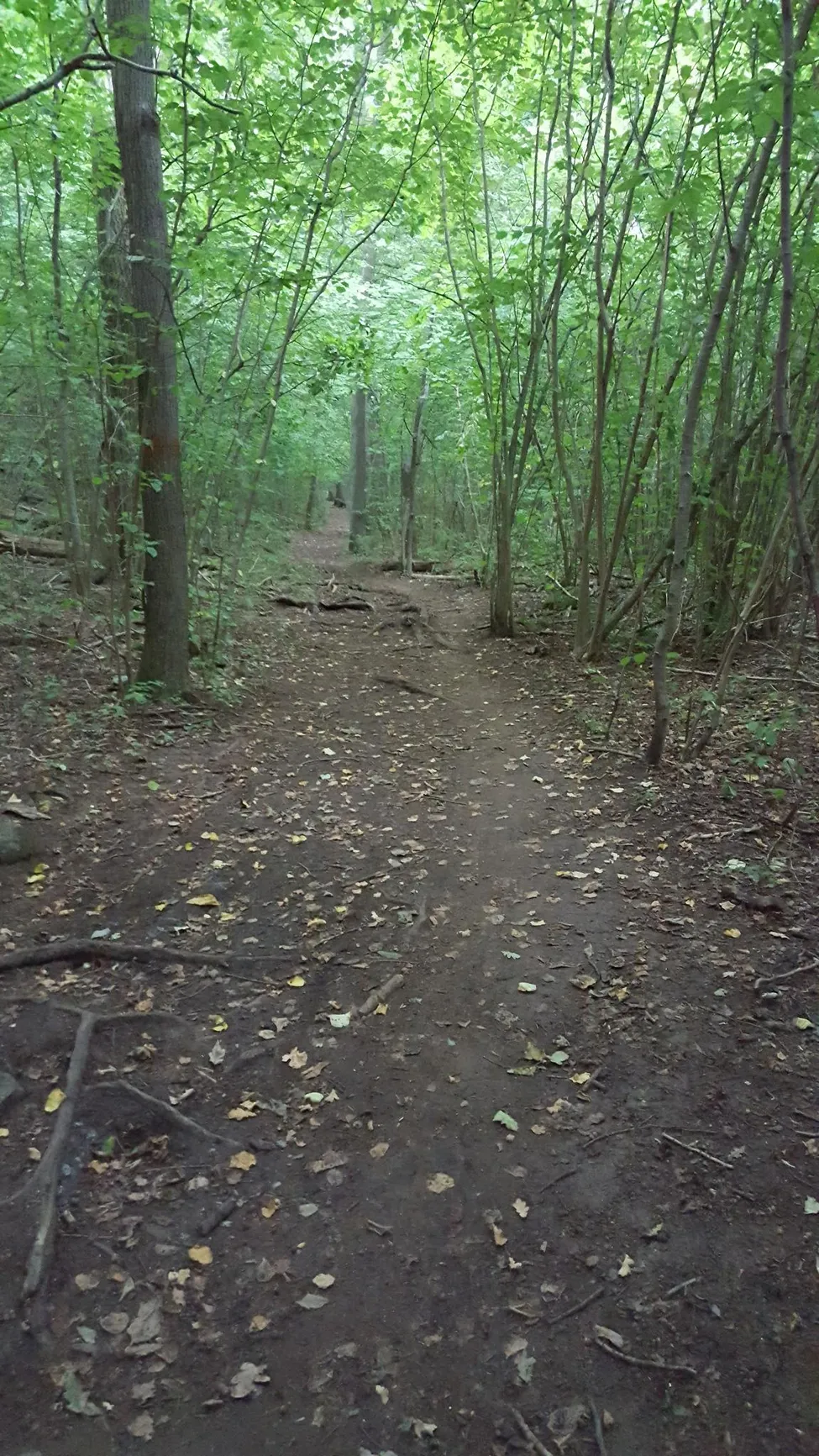 Klicka för att förstora