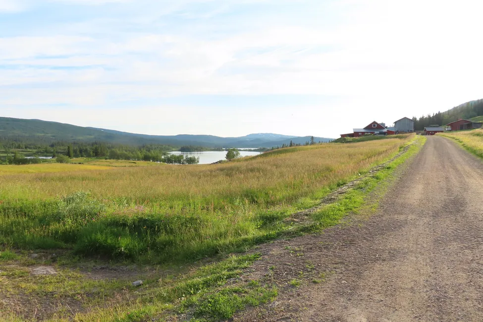 Klicka för att förstora