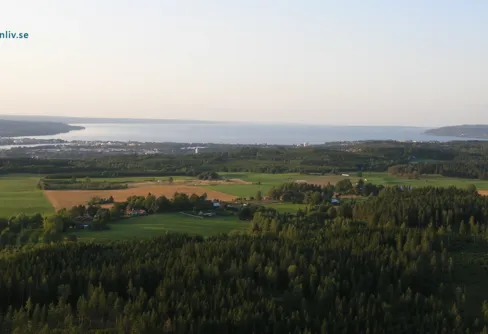 Ny sida om Vätterns vatten, liv och miljöhot