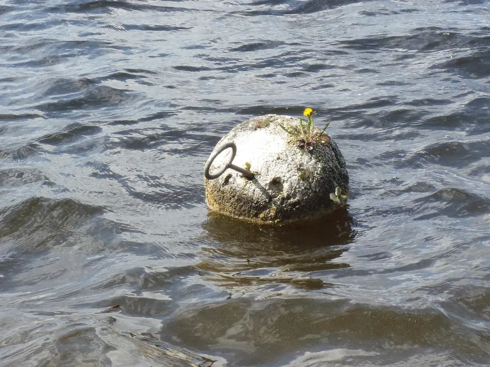 Klicka för att förstora