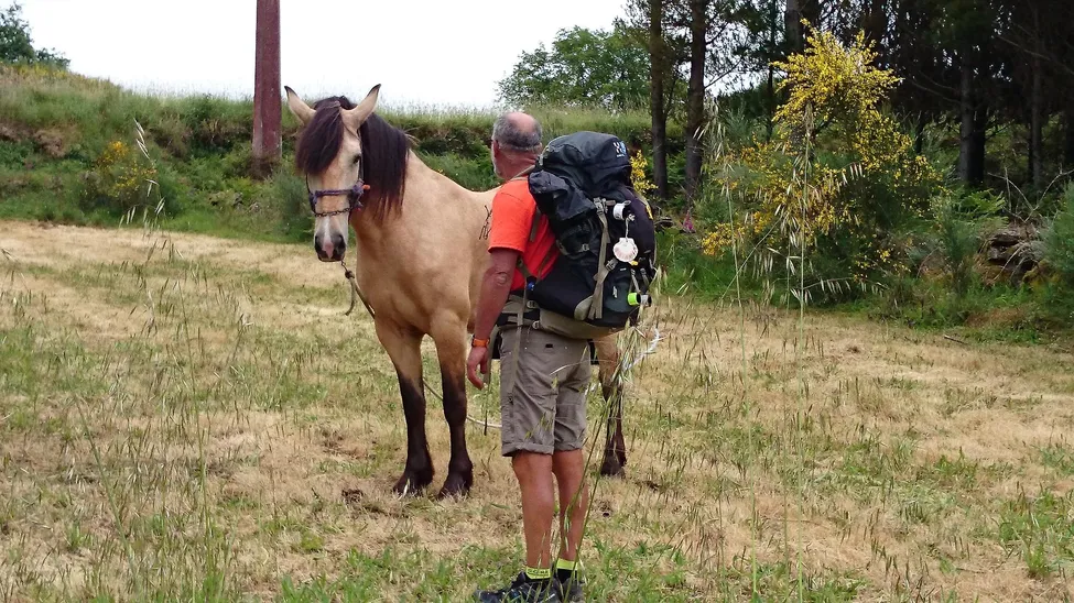Klicka för att förstora