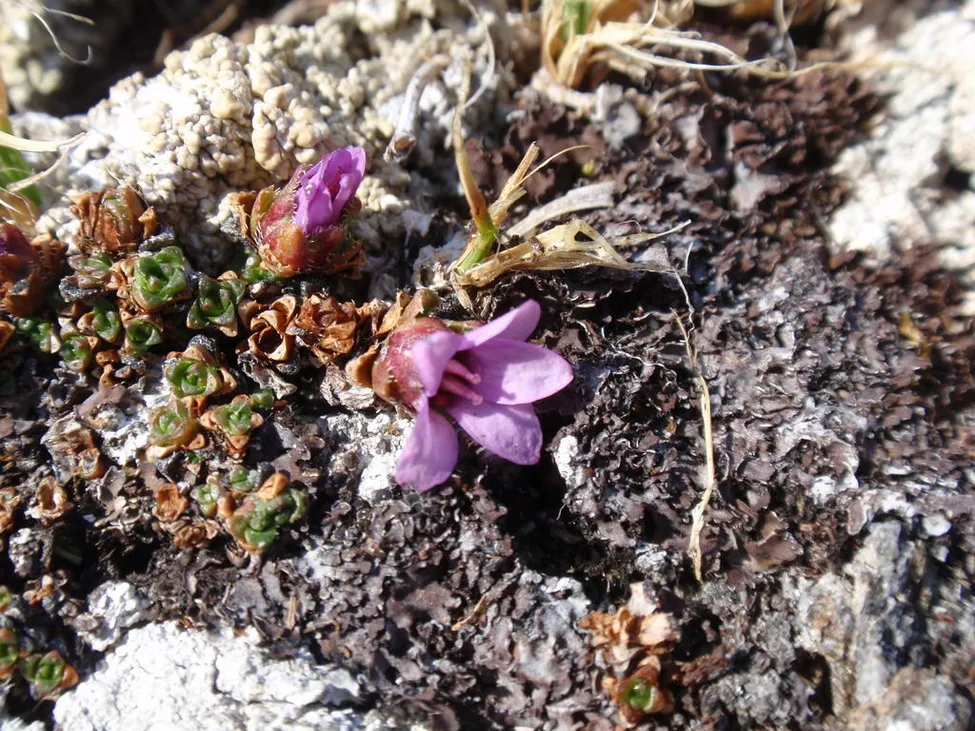 Klicka för att förstora
