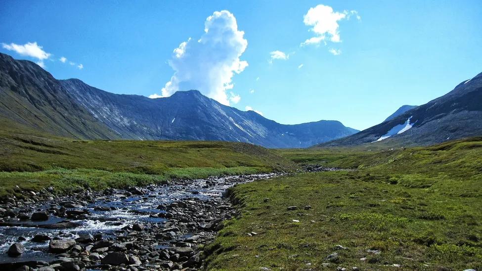 Klicka för att förstora