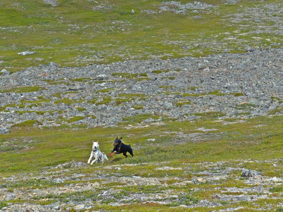 Klicka för att förstora
