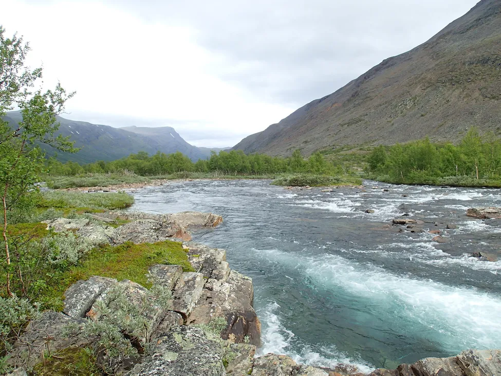 Klicka för att förstora