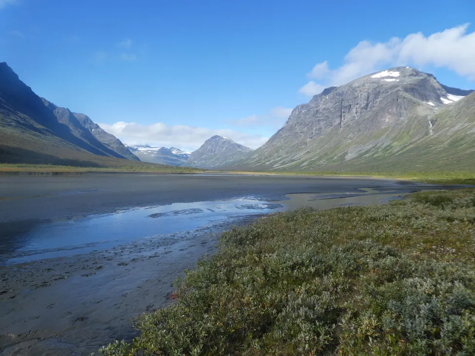 Klicka för att förstora