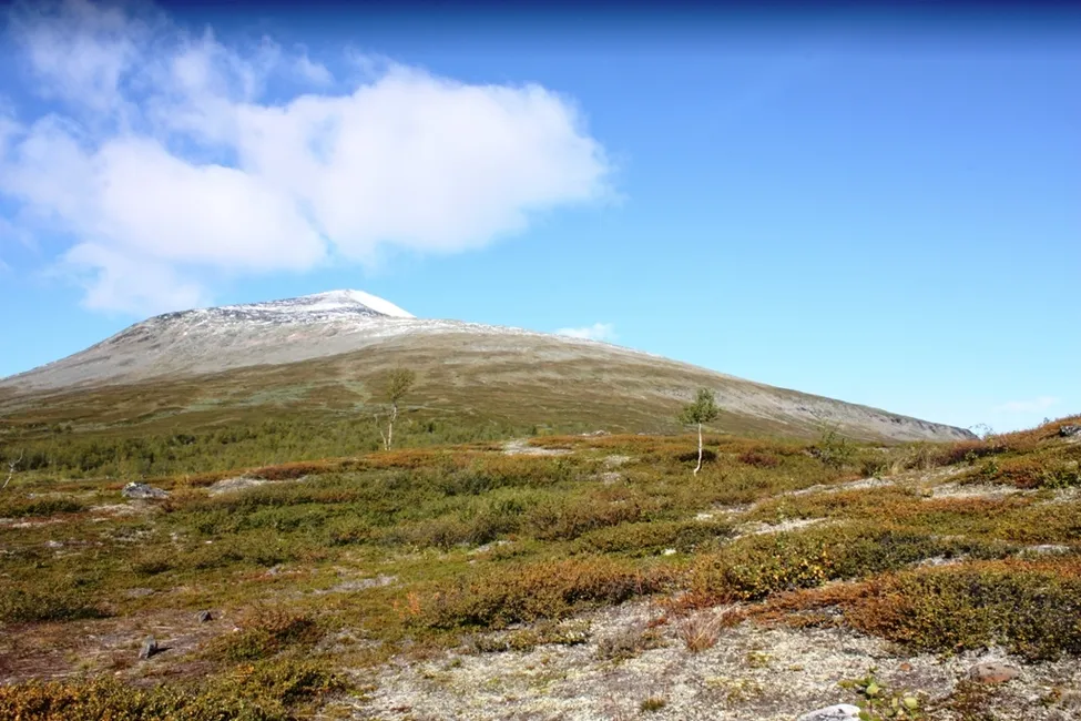 Klicka för att förstora
