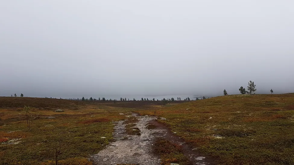 Klicka för att förstora