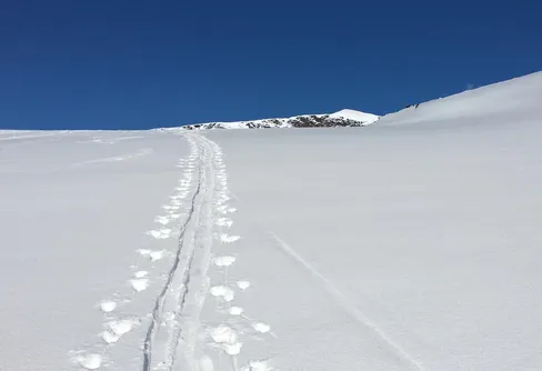 Lösning för hållplatsen i Kebnats