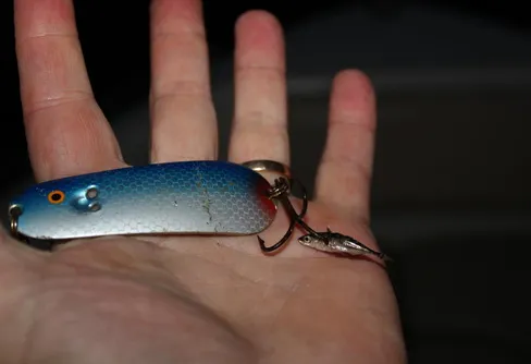 Världsrekord kanske???