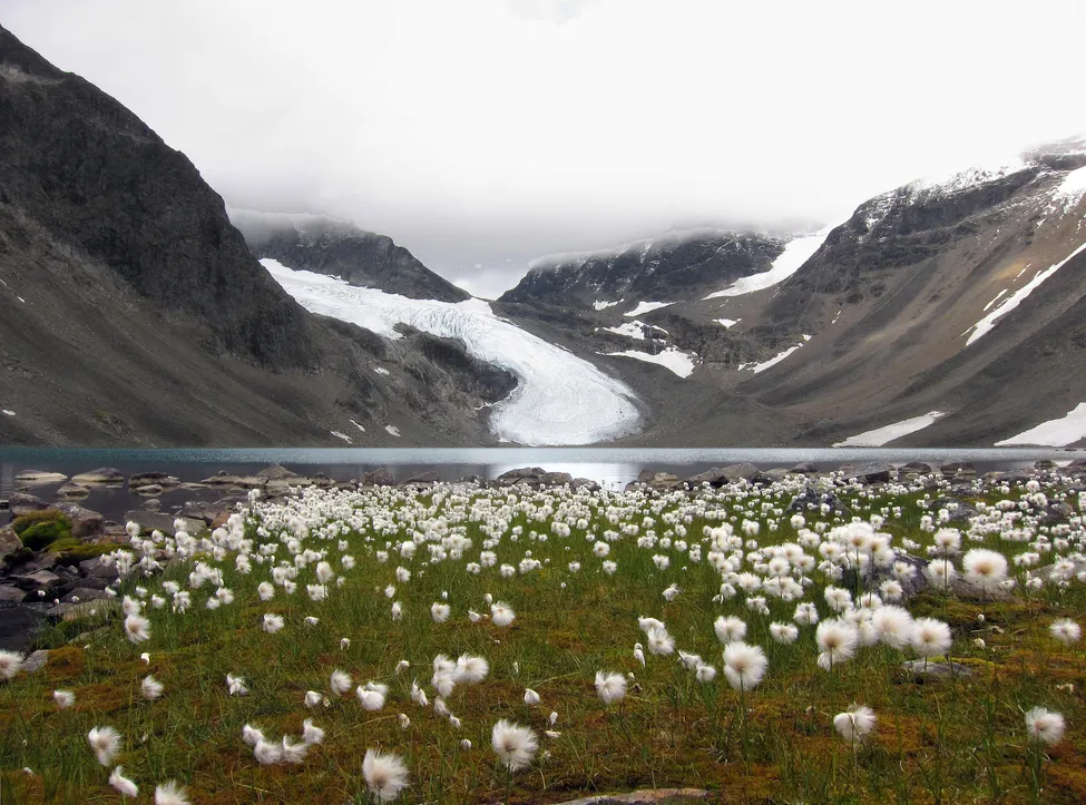 Klicka för att förstora