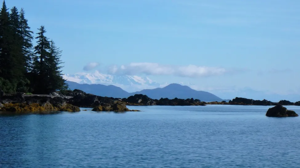 Klicka för att förstora