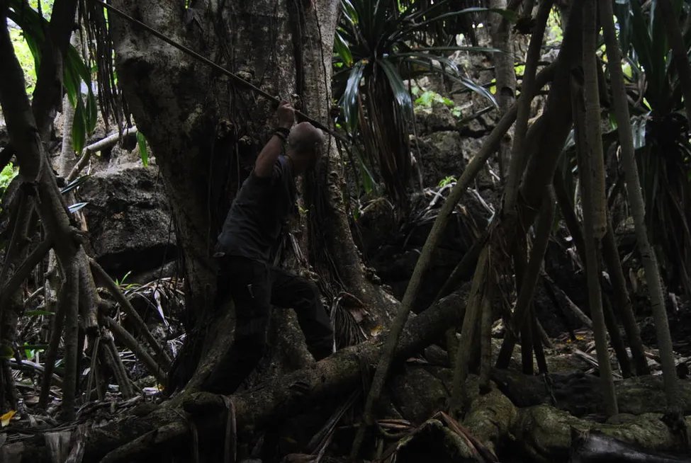 Klicka för att förstora