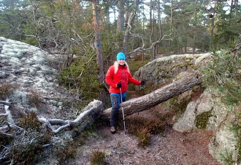 Hällmarkslingan i Vinterskogens naturreservat – 6 km rundslinga