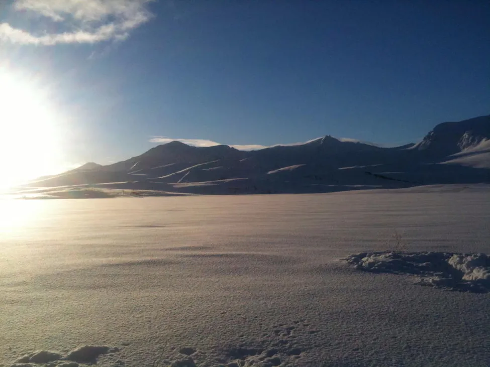 Klicka för att förstora