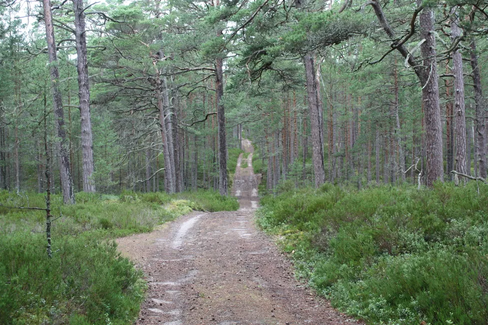 Klicka för att förstora
