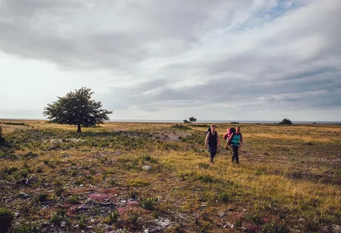 Kärlek vid första ögonkastet
