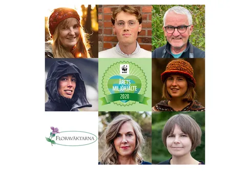 Årets Miljöhjälte - här är de nominerade