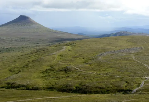 Linnés fjällmarsch