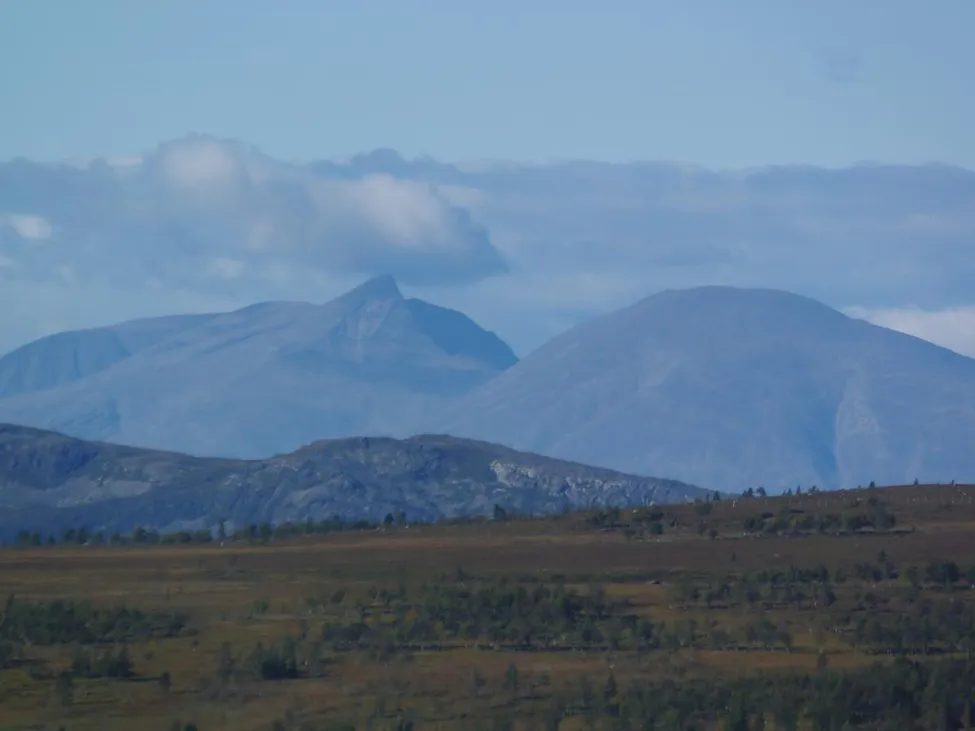 Klicka för att förstora