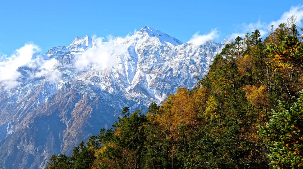 Klicka för att förstora