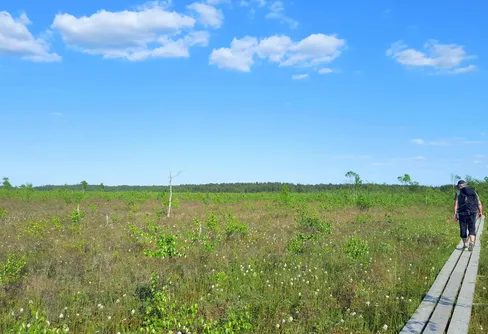 Vandringsled Kävsjön runt i Store Mosse nationalpark