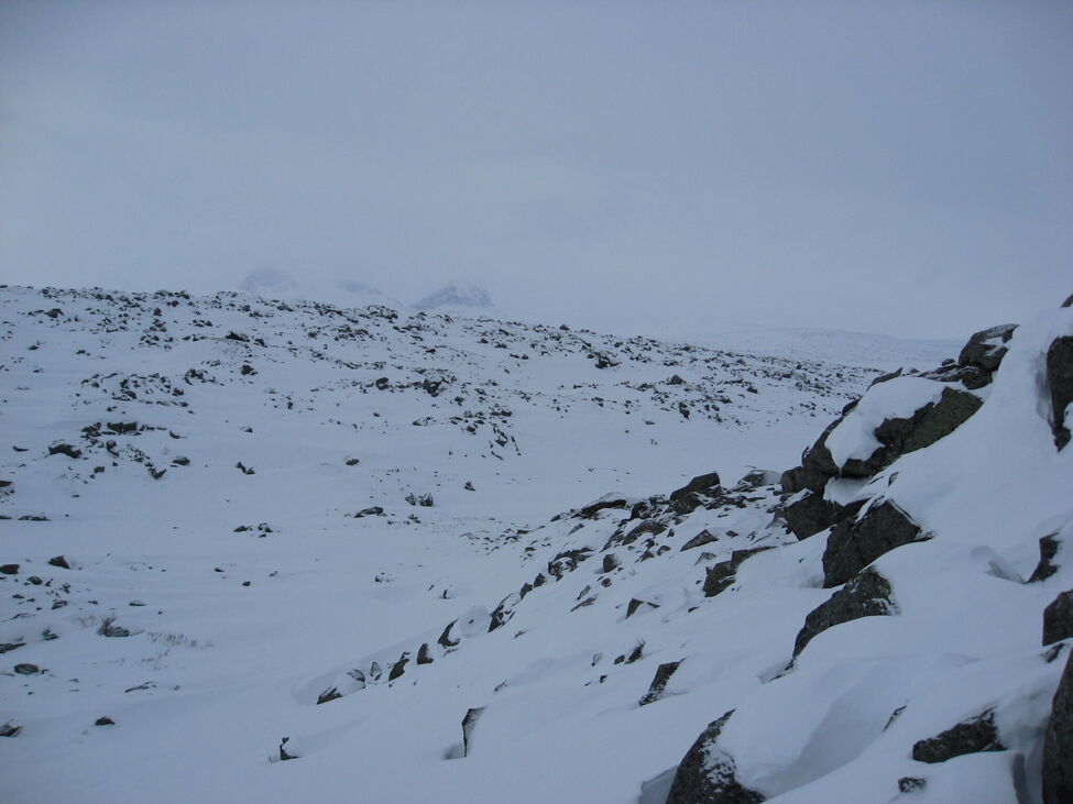 Klicka för att förstora