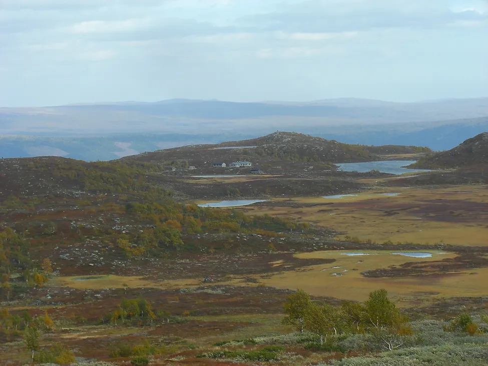 Klicka för att förstora
