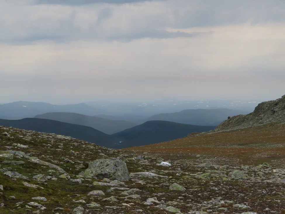 Klicka för att förstora