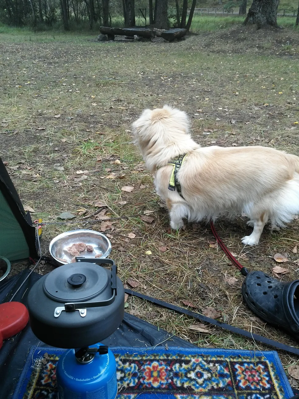 Klicka för att förstora