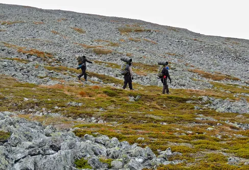 Björnen sover .....eller?