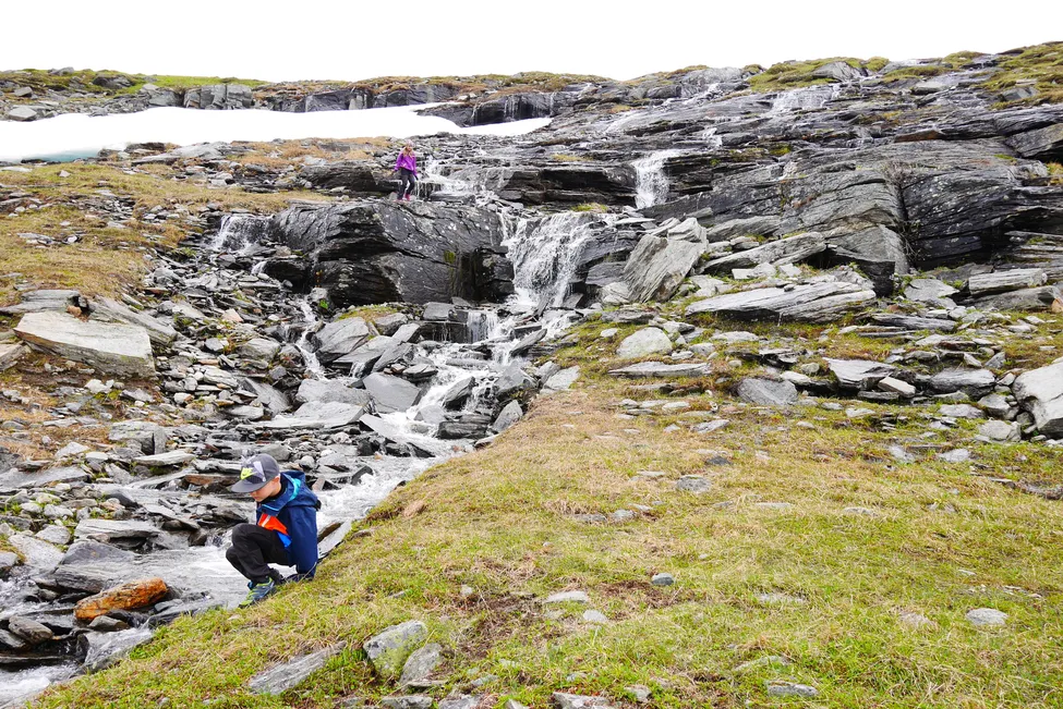 Klicka för att förstora