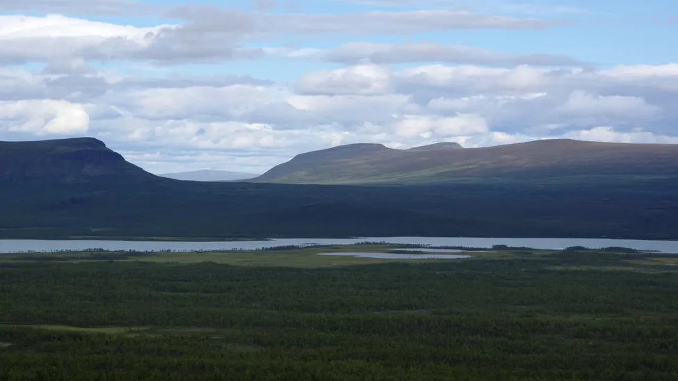 Klicka för att förstora
