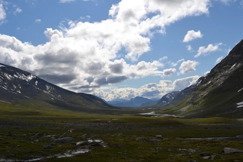 Klicka för att förstora