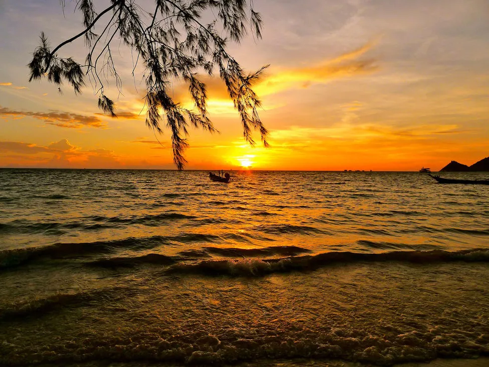 Klicka för att förstora