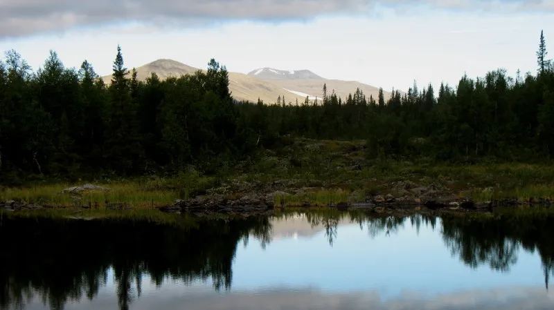 Klicka för att förstora