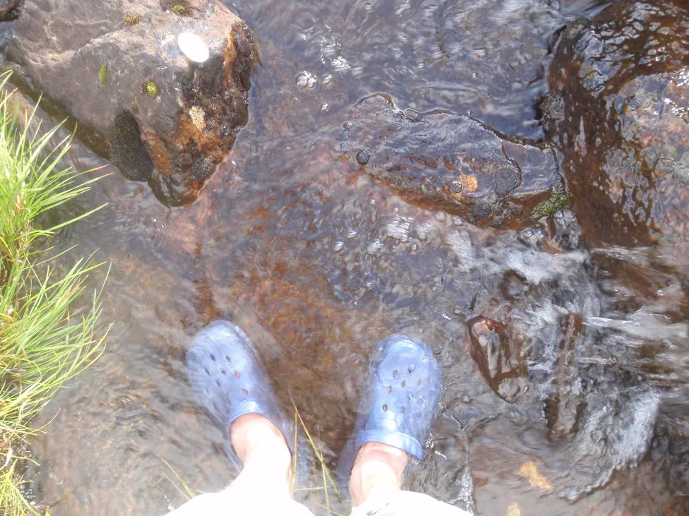 Klicka för att förstora