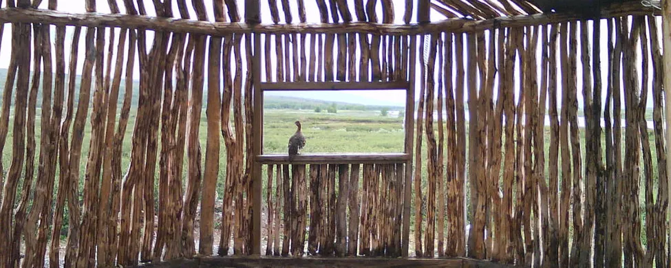 Klicka för att förstora